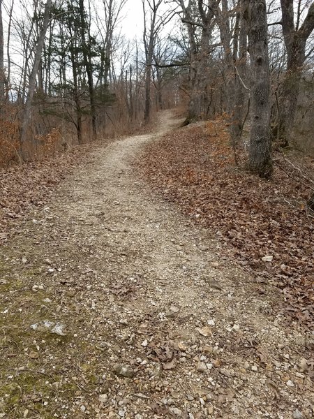 Heading south toward the south parking lot, there's a gentle climb up to the top of a hill. Once there, the trail will follow a gravel road for roughly 1/4 mile.