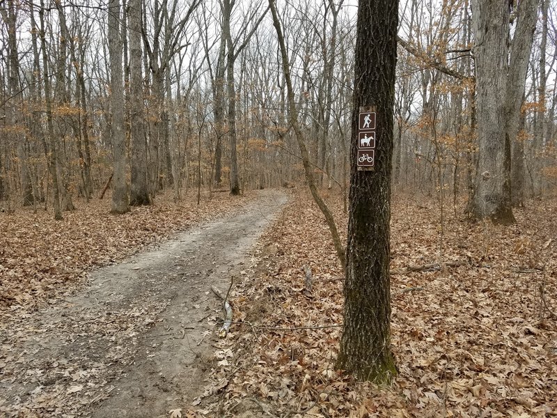 This is an example of the infrequent blazing you'll see on the trail. There are a lot of sinkholes around this area, but sadly pics just don't do them justice!