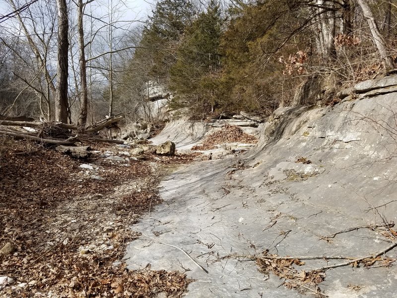 Just west a bit down Turkey Creek from the creek crossing, you'll find this very cool limestone creek bed.