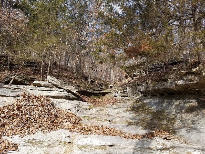 This is another example of the limestone creek bed by Turkey Creek.