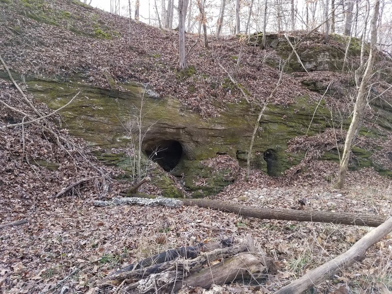 Along Turkey Creek, keep your eyes peeled for these small, cave-like openings in the rock.