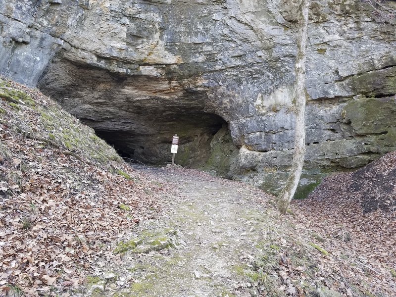 This cave (roughly 30-40' wide, 20' tall, and 40-50' deep) is off limits to protect bats.