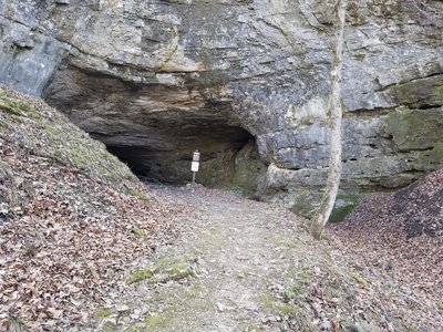 This cave (roughly 30-40' wide, 20' tall, and 40-50' deep) is off limits to protect bats.