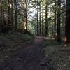 The Grabtown Gulch Trail is well manicured in this spot.