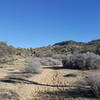 Expect great views further in along this trail. While it's mostly sand throughout, some areas are loose and others are more hardpack.