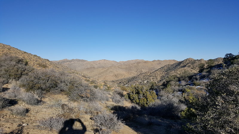 Enjoy this easterly view from the high point on the trail.