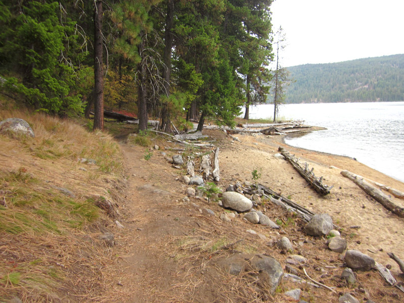 Payette Lake Beach is a great place to play fetch with the dog in the fall.