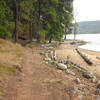 Payette Lake Beach is a great place to play fetch with the dog in the fall.