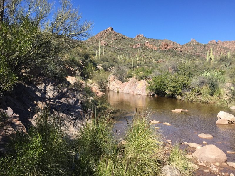 Lots of water remains after a big storm the week prior.