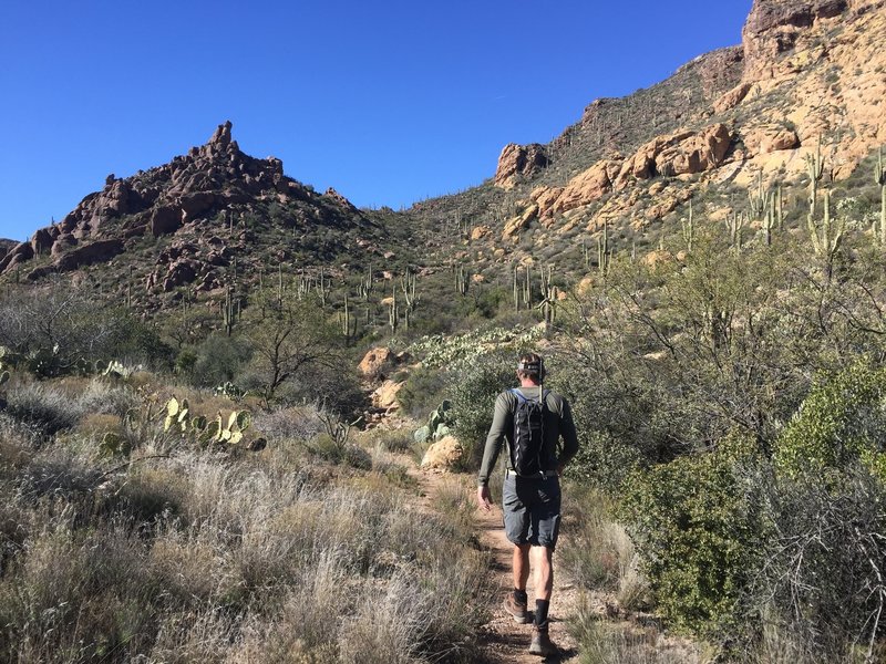 A hiker ascends the Bluff Springs Trail.