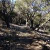 The mid-section of Upper Wagon Trail is smoother than others.