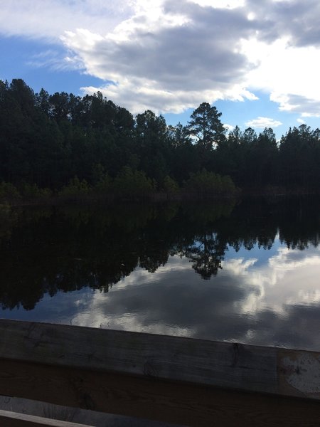 Come enjoy the peaceful pond overlook at Anderson Creek County Park, North Carolina.