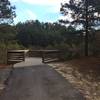 There's a paved trail to a dock overlooking the pond at Anderson Creek County Park, NC.