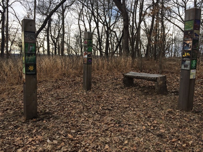 At the trail's endpoint, enjoy the totems showing the area's plant and animal wildlife.