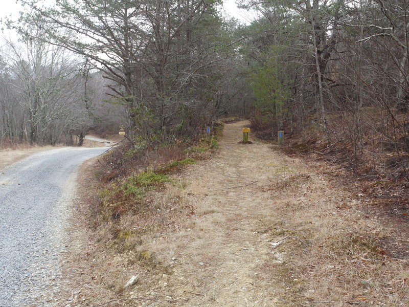 The start of the Old Hotel Trail is located on Wiggings Spring Road near the Mt. Pleasant Parking Area.