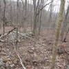 Hog Wall (from an abandoned farm) crosses the Old Hotel Trail.