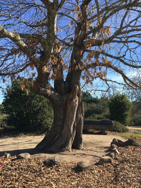 This beautiful Peace Garden sculpture is located right off the Blackberry Trail near the parking area.