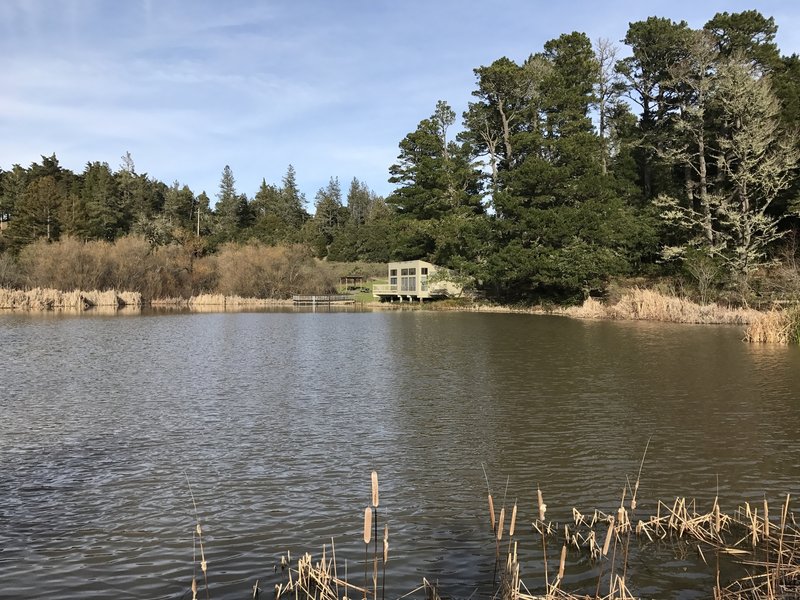 The nature center is situated on the pond. It's an easy hike that's good for families.