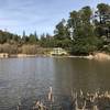 The nature center is situated on the pond. It's an easy hike that's good for families.