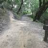 The Ancient Oaks Trail joins up with the Charquin Trail in the oak woods.