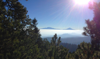 Running Trails near Desierto de los Leones National Park