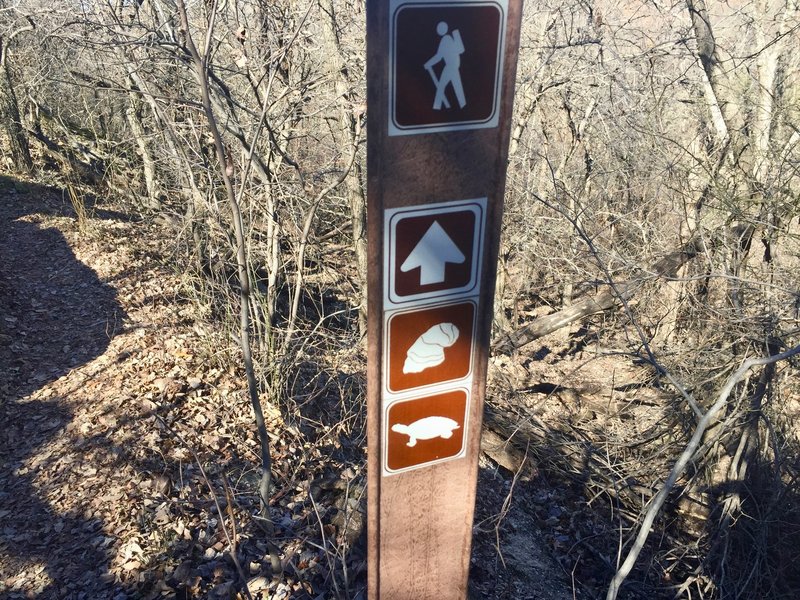 The Caprock Trail is marked with a fossilized shellfish.