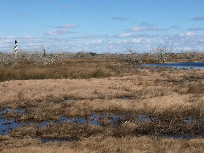 The views start right at the beginning of the Cape Hatteras Point Loop Trail.