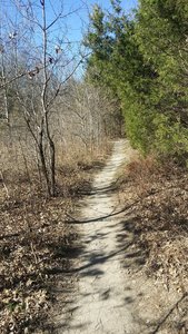 The singletrack trail travels next to the creek.