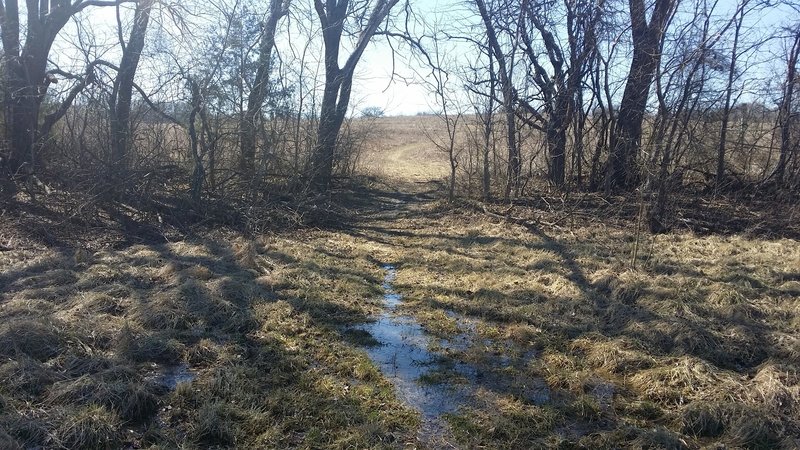 Standing water exists occasionally between meadows.