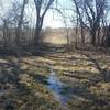 Standing water exists occasionally between meadows.