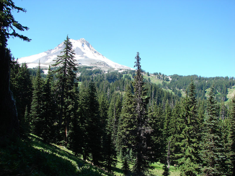 Mt. Hood can be seen from some openings on the Umbrella Falls Trail. Photo by Yunkette.