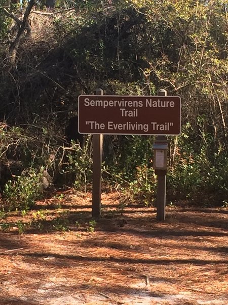 The Sempervirens Trailhead is well marked.