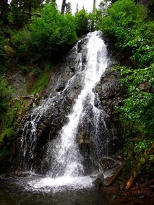 Access to Sahalie Falls is difficult and best achieved from a lower trailhead along the road. Photo by Jennifer Cusic.