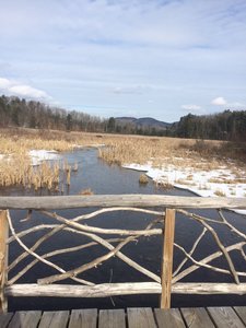 This beautiful boardwalk ushers visitors across the lower end of Rush Pond.