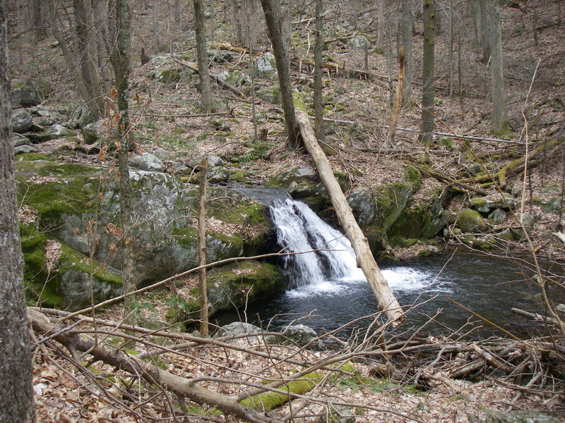 This is just one of many cascades down Cornelius Creek.