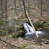 This is just one of many cascades down Cornelius Creek.