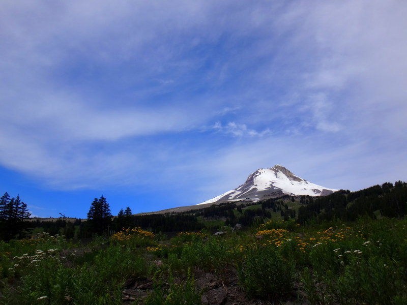 Enjoy this view above Umbrella Falls near the downhill side of the Mt. Hood Meadows Parking Lot. Photo by Jennifer Cusic.