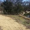 The trail follows along the creek in this section.