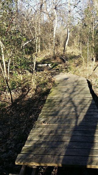 This handy boardwalk keeps you dry as you pass over a wet area on the Creek Trail.