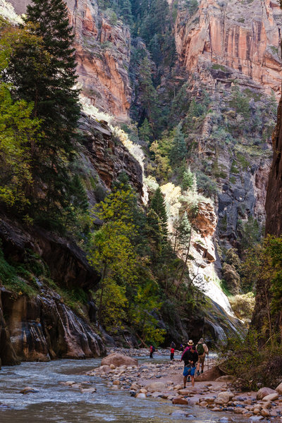 The Narrows is a must-do hike in Zion.