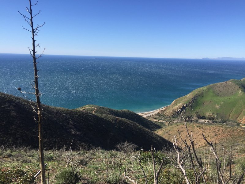 A gorgeous day and spectacular views make for a wonderful time on the Ray Miller / Backbone Trail!
