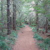 The Southshore Trail is well manicured near Oak Fork Campground. Photo by Yunkette.