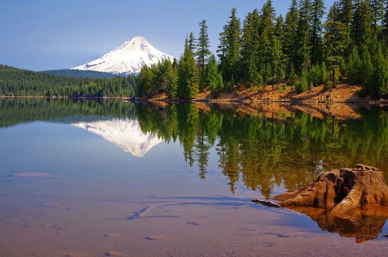 The view over Gone Creek Campground to Mt. Hood from the Southshore Trail is sure to impress. Photo by Gene Blick.