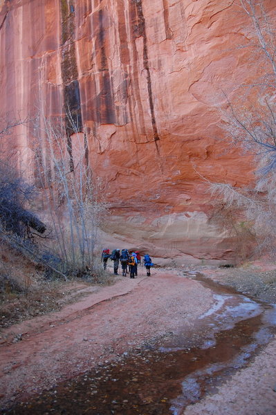 Steep walls follow you through Hurricane Wash.