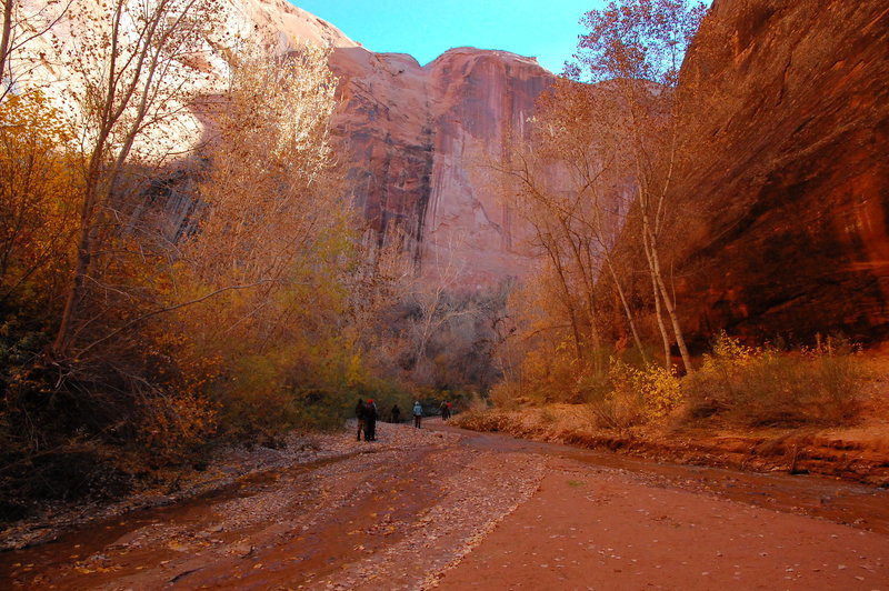 Fall is a gorgeous time to enjoy Coyote Gulch.