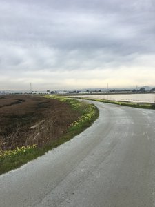 Enjoy pleasant views on the return leg back to the parking area.