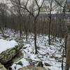 Look out over Snake Spring Valley from this point on the Mid State Trail (MST).