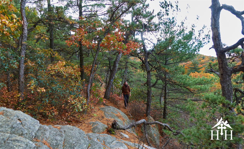 This is the view looking back from the Northeast Trail.