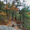 This is the view looking back from the Northeast Trail.