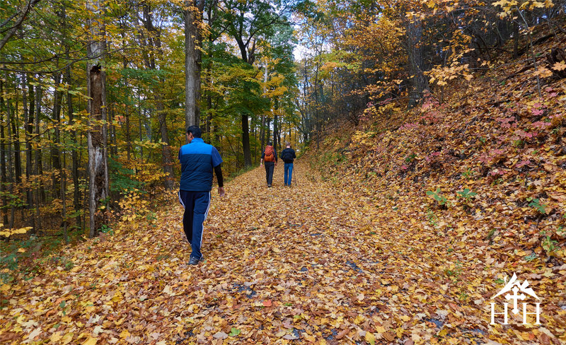 The trail to the crag can be beautiful when covered with leaves.